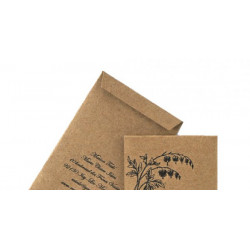 Graines bio à planter (variétés anciennes)