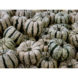 Patidou à manger (la pièce)