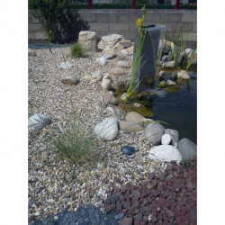 Graviers ronds beige