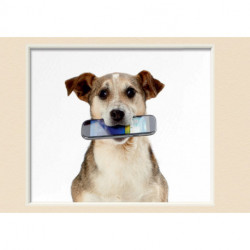 Crédit Mutuel Mobile