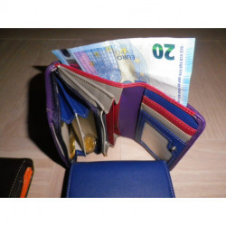 FANCIL petit compagnon