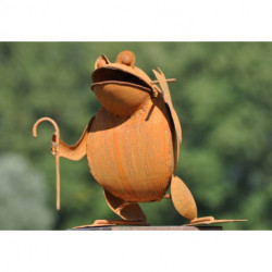 Grenouille Belle la vie