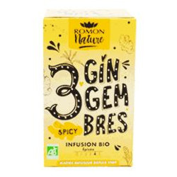 Infusion Bio 3 Gingembres boite 16 sachets