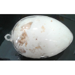 Oeuf nougat tendre 35g