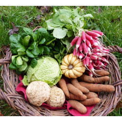 Panier de légumes de saison 100% naturel