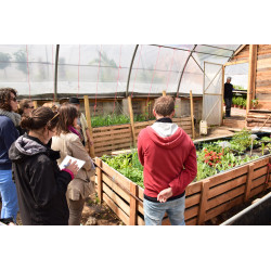 Formation en jardinage en permaculture, agroécologie: 1 jour