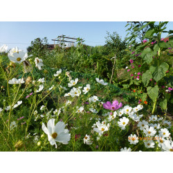 Bon cadeau "Atelier bien-être holistique"
