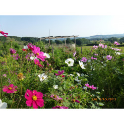 carte 10 ateliers "Atelier bien-être holistique"