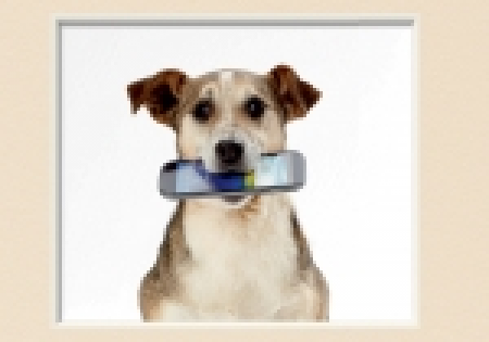 Crédit Mutuel Mobile